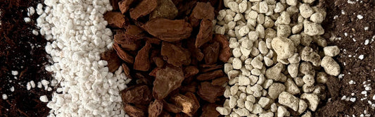 My Anthurium substrate mixes: a quick guide