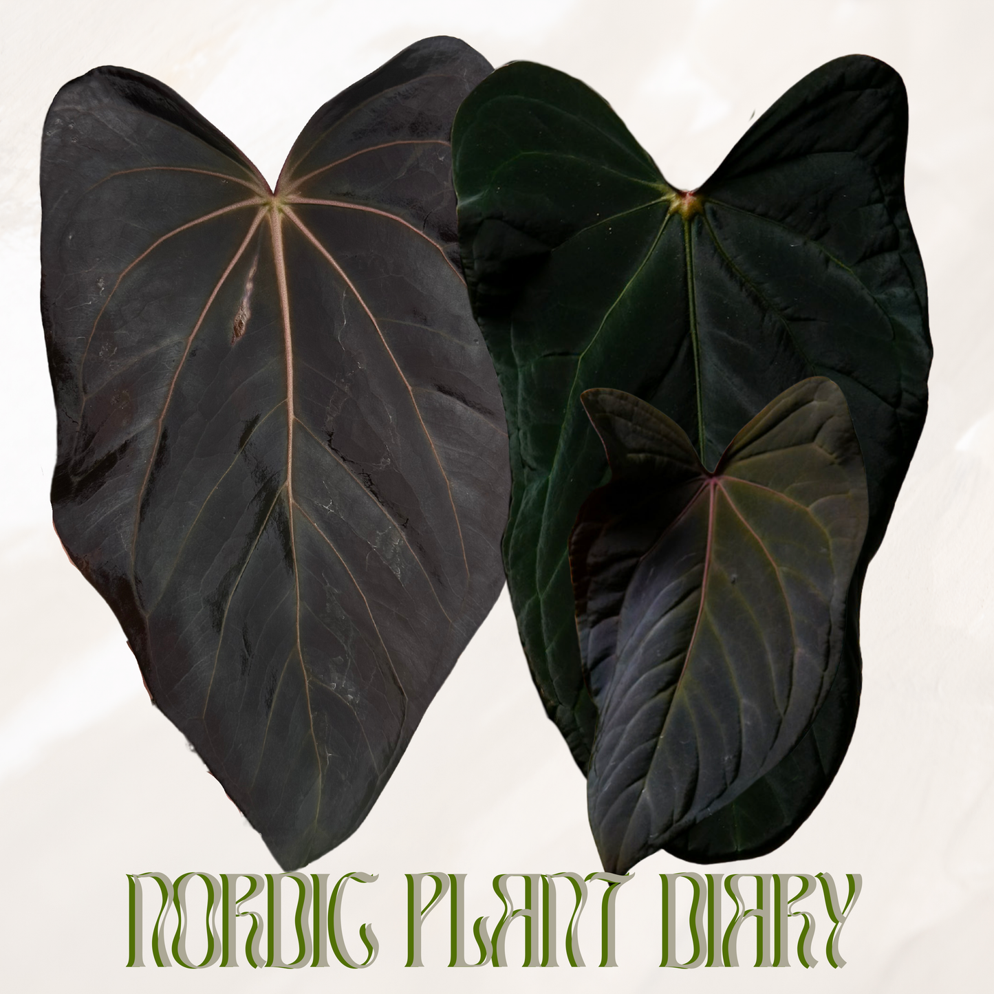 npd-cover:1787921586737-2_2.png